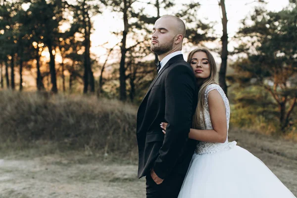 Hermosa pareja amorosa —  Fotos de Stock