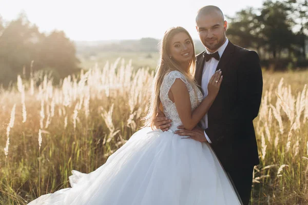 Hermosa pareja amorosa —  Fotos de Stock