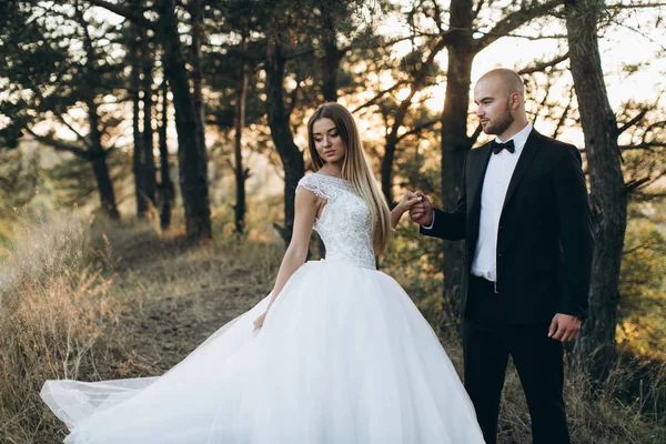 Hermosa pareja amorosa —  Fotos de Stock