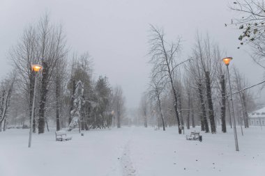 parkta ilk kar