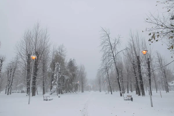 Primeira neve no parque — Fotografia de Stock