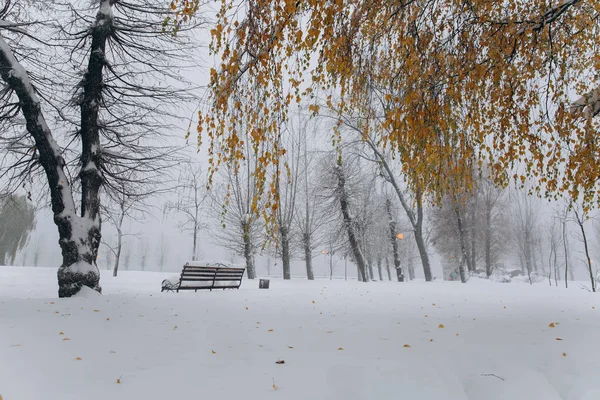 First snow in park — Stock Photo, Image