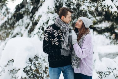 çiftler kış ormanında