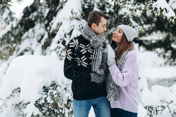 çiftler kış ormanında