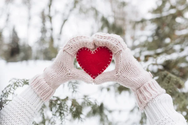Girl holding heart in winter nature