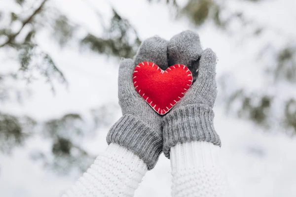 Menina segurando coração no inverno natureza — Fotografia de Stock