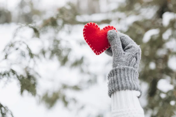 Menina segurando coração no inverno natureza — Fotografia de Stock