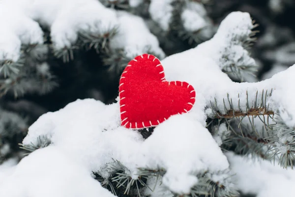 Coração solitário no Dia dos Namorados — Fotografia de Stock