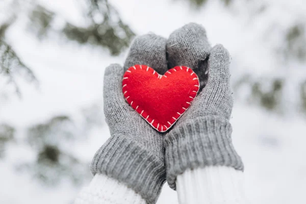 Kış doğada kalp tutan kız