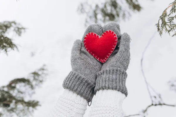 Menina segurando coração no inverno natureza — Fotografia de Stock