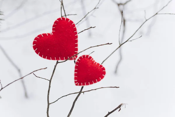 Два сердца любви в зимней природе — стоковое фото