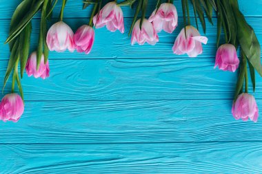 pink tulips border