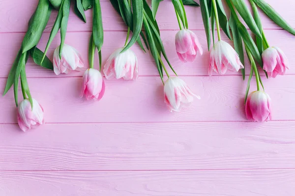 Tulipas rosadas frescas — Fotografia de Stock