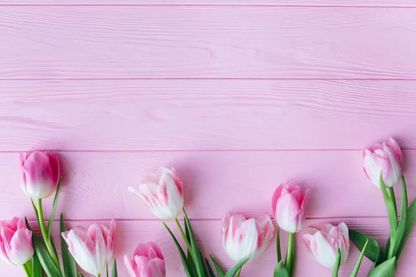 Frische rosa Tulpen — Stockfoto