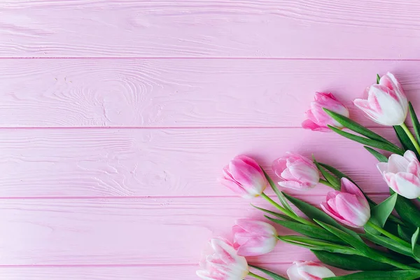 Φρέσκα ροζ τουλίπες — Φωτογραφία Αρχείου
