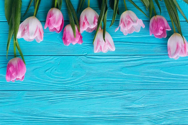 Bordure des tulipes roses — Photo