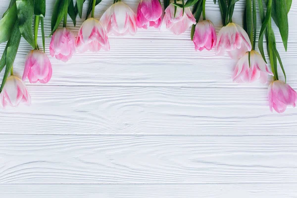 Borda de tulipas rosa — Fotografia de Stock
