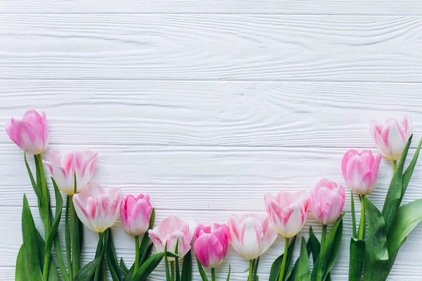 Borda de tulipas rosa — Fotografia de Stock