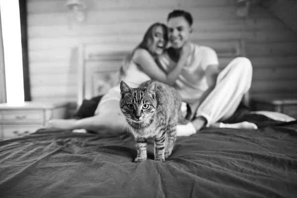 Beau couple avec chat — Photo