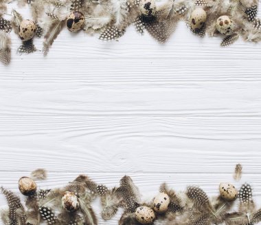 bıldırcın yumurtası ve tüy