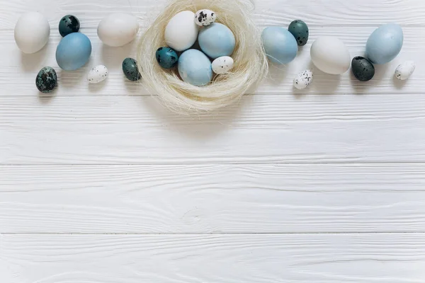Målade ägg i boet — Stockfoto
