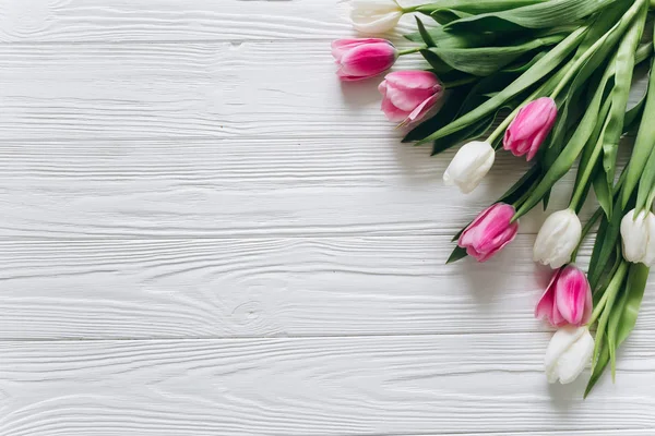 Mooie tulpen bloemen — Stockfoto