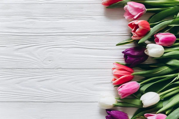 Belles fleurs de tulipes — Photo