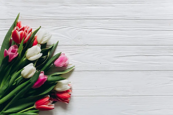 아름 다운 튤립 꽃 — 스톡 사진