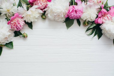 güzel Şakayık çiçekleri 