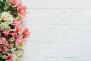 pembe Astomeria çiçekler