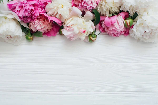 Λευκό και ροζ παιωνία λουλούδια — Φωτογραφία Αρχείου