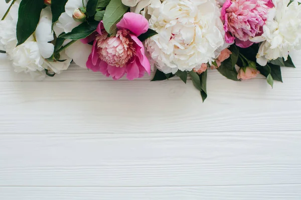 Flores de peonía blanco y rosa —  Fotos de Stock