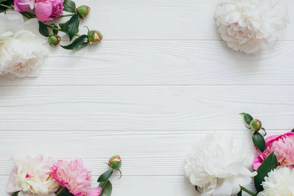 Hermosas flores de peonía —  Fotos de Stock