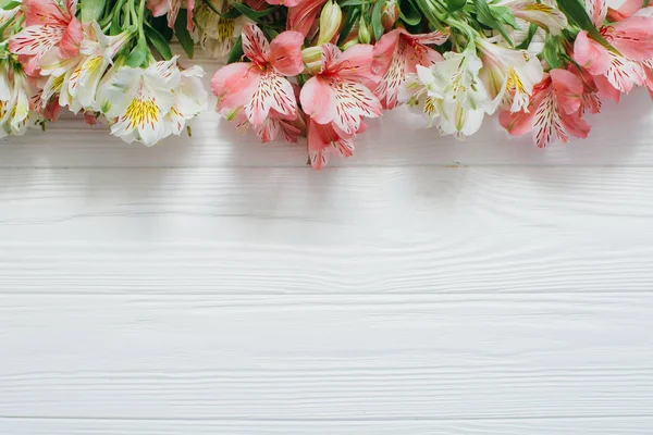 Flores de estomeria brancas e rosa — Fotografia de Stock