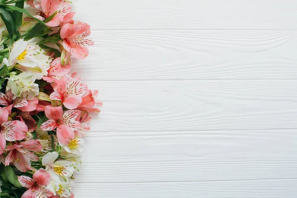 Λουλούδια άσπρα και ροζ Astomeria — Φωτογραφία Αρχείου