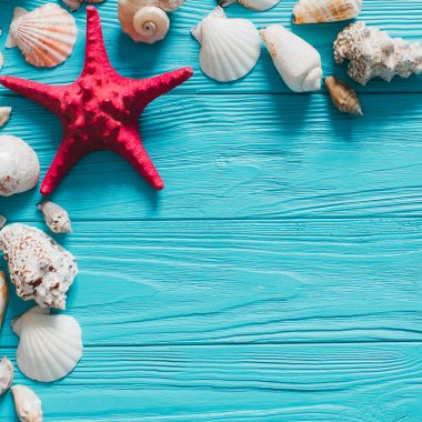 kabukları mavi ahşap zemin üzerinde