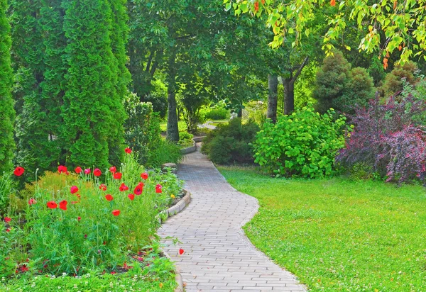 Blumenbeet mit roten Mohnblumen in der Nähe der Strecke im Park — Stockfoto