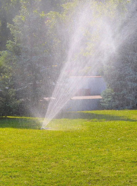 otomatik yeşil çim sulama