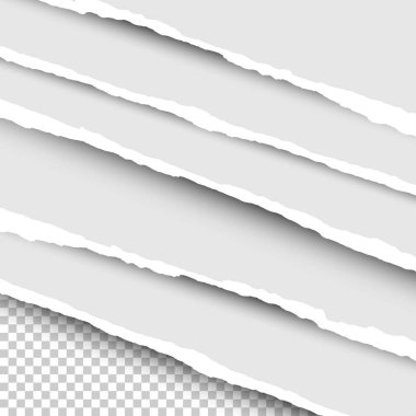 Kağıt çizimi. Şeffaf arkaplan üzerine yırtık kağıt. Gerçekçi şeritler kağıt parçalarını gölgeli, izole. Vektör illüstrasyonu