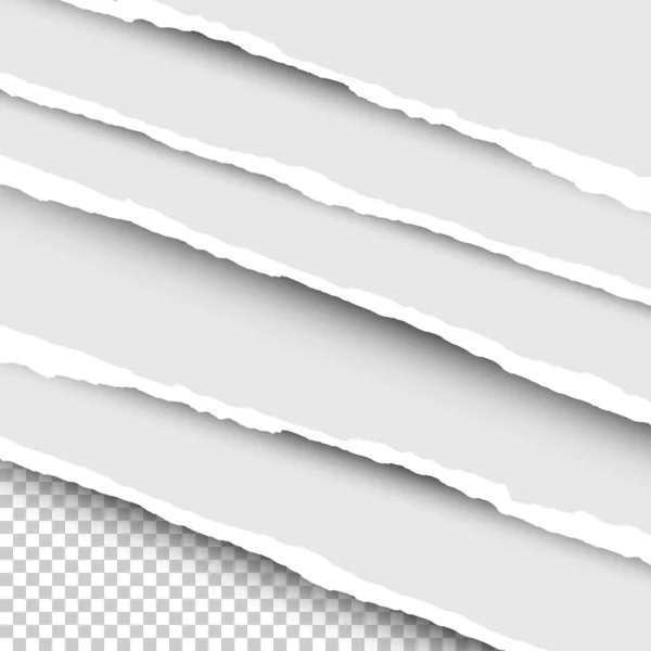 Ilustración en papel. Papel roto sobre fondo transparente. Tiras realistas rasgadas arte de papel con sombra, aisladas. Ilustración vectorial — Archivo Imágenes Vectoriales