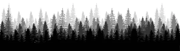Orman manzaralı. Çamlar. Spruce Doğa. Orman geçmişi. Beyaz arka planda Çam, Ladin ve Noel Ağacı seti. Siluet ormanı geçmişi. Vektör illüstrasyonu