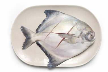 taze pomfret beyaz bir arka plan üzerinde izole