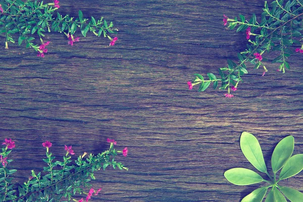 Άγρια λουλούδια σε ξύλινα backgroun — Φωτογραφία Αρχείου
