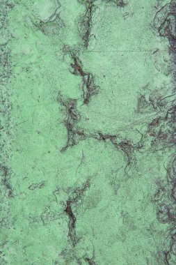 Yeşil beton çatlak duvar doku arka plan