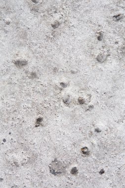 taş ya da kaya arka plan ve doku