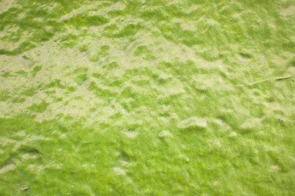 Verde áspero pintado sobre fondo de textura de piso de cemento —  Fotos de Stock