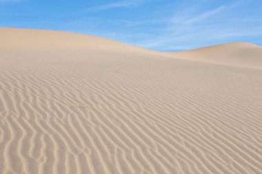 Kum tepeleri üzerinde dalgaların. Güneş doğuyor. Mesquite F çöl