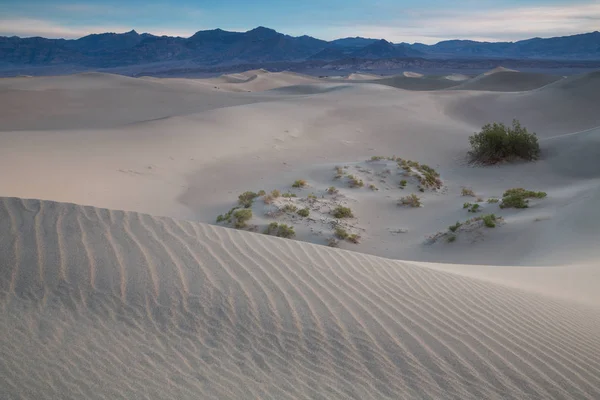 Ondas de areia no topo das dunas. Nascer do sol. Deserto em Mesquite F — Fotografia de Stock