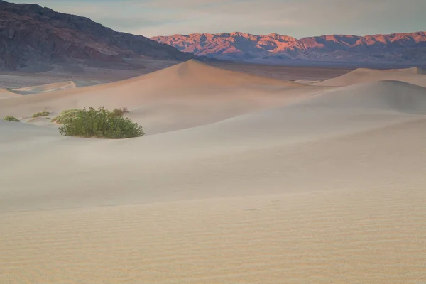 Ondas de areia no topo das dunas. Nascer do sol. Deserto em Mesquite F — Fotografia de Stock