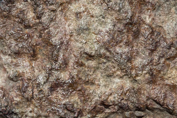 taş ya da kaya arka plan ve doku